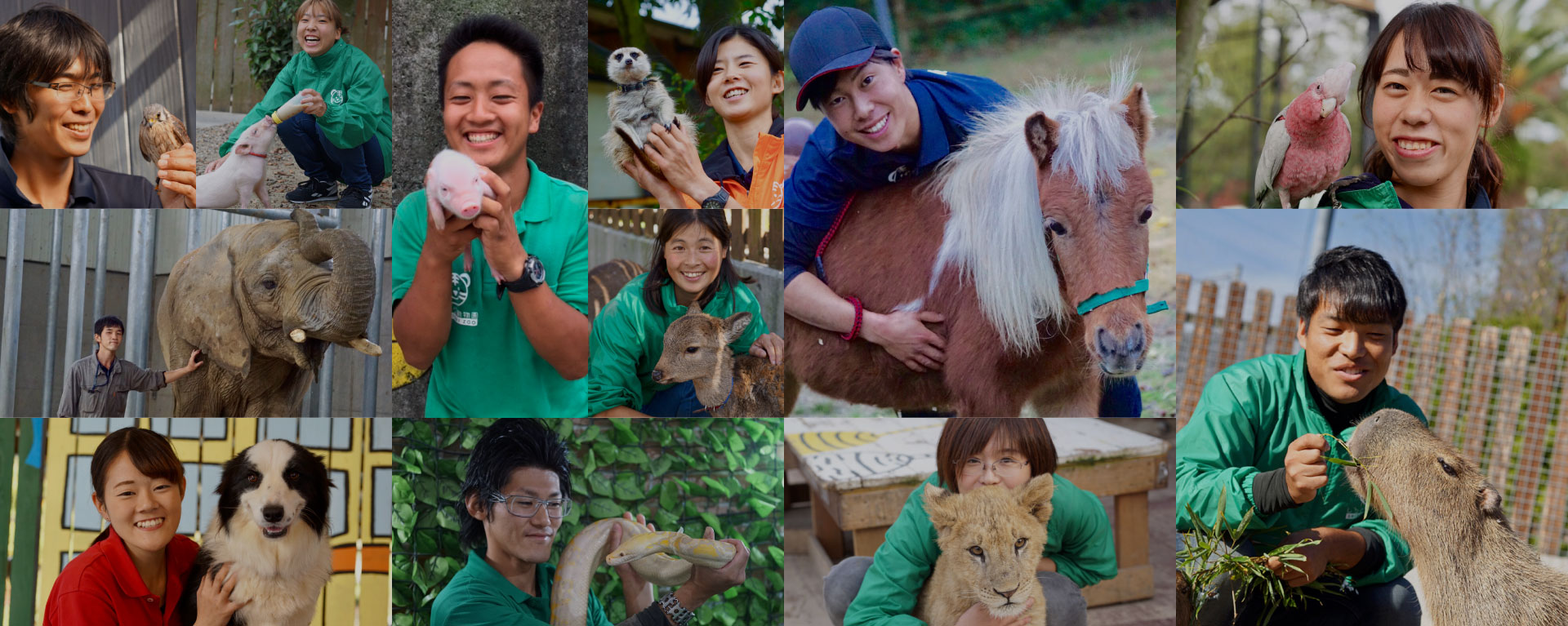 しろとり動物園 スタッフ図鑑